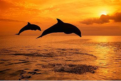 《战争机器》之父Cliff Bleszinski正在开发全新IP